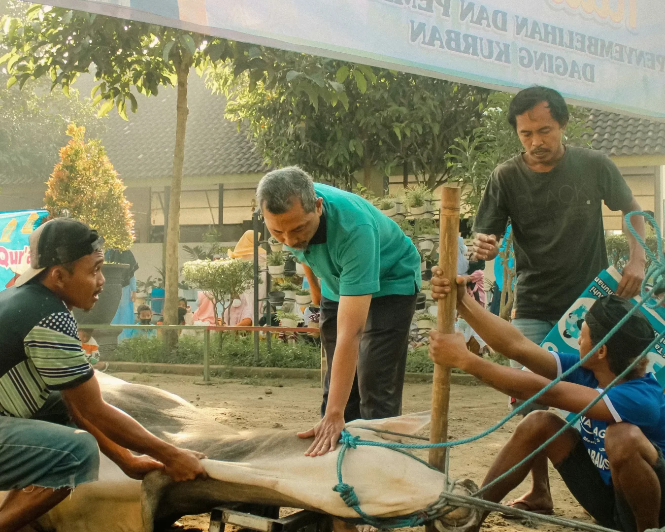 Keutamaan Hari Tasyrik, Diperbolehkan Qurban