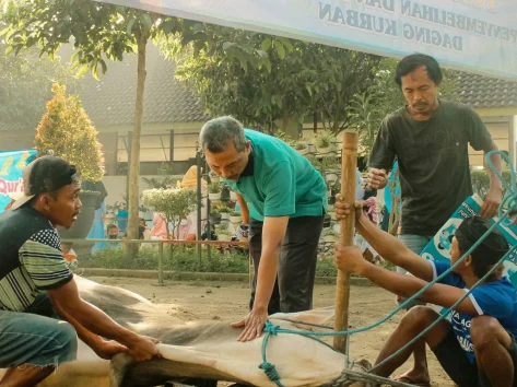 Keutamaan Hari Tasyrik, Diperbolehkan Qurban