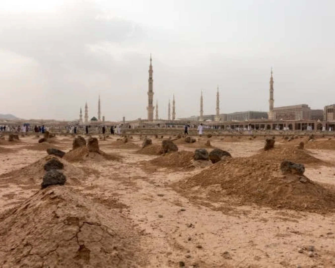 kasus umroh mandiri, jemaah meninggal dunia terlantar 15 hari, sumber kemenag